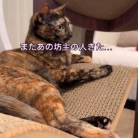 困惑