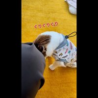 ぐりぐりぐり