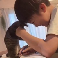 宿題をする男の子