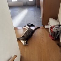 玄関前