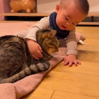 猫をなでる赤ちゃん