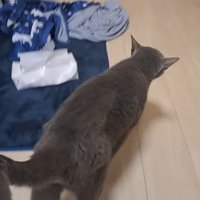 歩いて行く後ろ姿