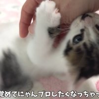テロップ「目が覚めて～」