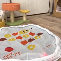 奥で固まる子猫2匹