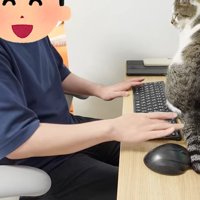 キーボードの側に