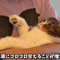 テロップ「最近素直に～」