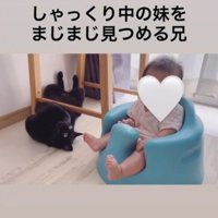 猫と子ども2