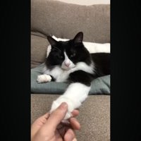 親指でタッチ