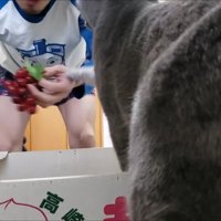 右前足でパンチ