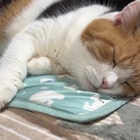 お顔のアップ