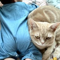 赤ちゃん背面と猫