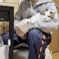 膝の上でくつろぐ猫の写真7