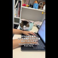 ここで待機するのが日課