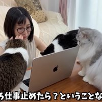 テロップ「そろそろ仕事～」
