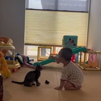 一緒に遊ぶ猫と赤ちゃん