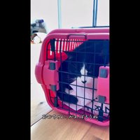 がんばろうね