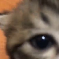 ドアップ(見切れ)