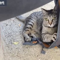 お外時代