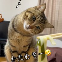 ？マークの写真