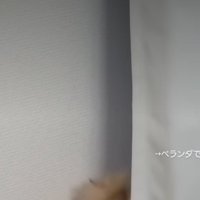 カーテンと壁