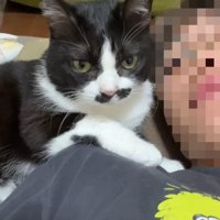 顔に密着