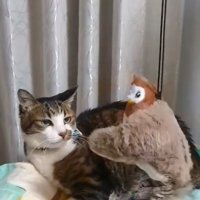 猫とすずめのおもちゃ