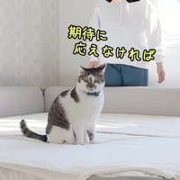 テロップ「期待に応えなければ」