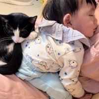 飼い主さんの膝の上で寝ている赤ちゃんに乗っかっている猫