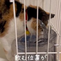 「飲む位置が…」と書かれている