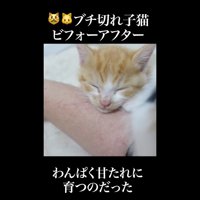 わんぱく甘たれに