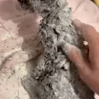 小麦粉を全身にかける