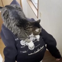 階段をおりていく娘さん