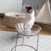 つかまり立ち(真ん中)