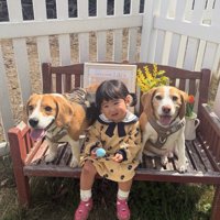 ベンチに座っている子供と2匹のビーグル