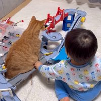 頂上へと到着する車