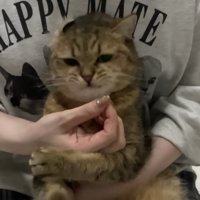 おやつをプレゼント