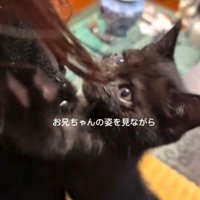 目が開いてきた頃