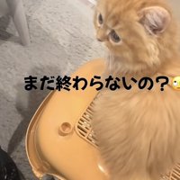 「まだ終わらないの？」のテロップ写真