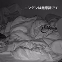 寝ている飼い主と猫