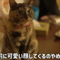 仕事の前に