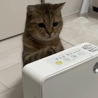 ヒーターにタッチ