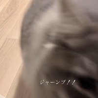 「ジャーンプ！！」のテロップ写真