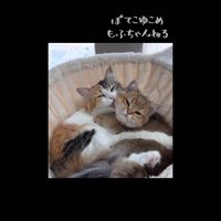 密着するふたり