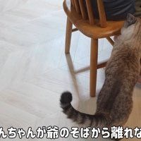 離れない