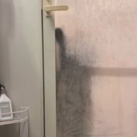 浴室の前にやって来た猫
