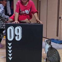ジャンプトレーニングをする男の子