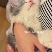 飼い主さんに抱っこされて眠るてん君