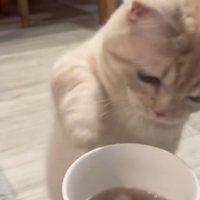 「中身が気になって...」のテロップ写真