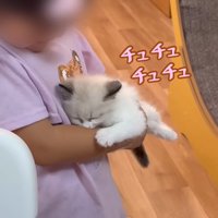 チュチュチュチュ