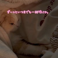 横になっている男性にしがみつく猫